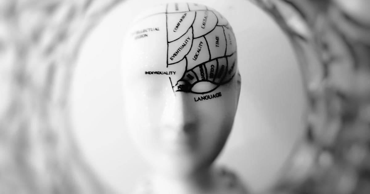 Vintage phrenology head bust representing the historical study of human behavior
