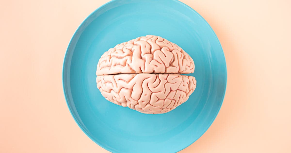 Brain model on a blue surface representing scientific study of the mind
